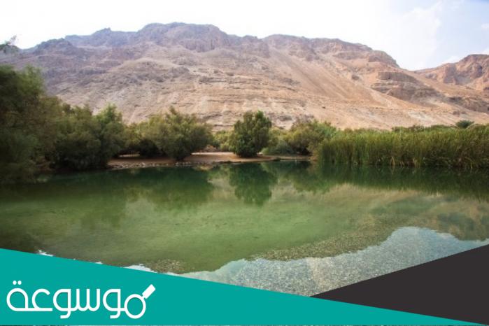 اين تقع محمية ديطواح