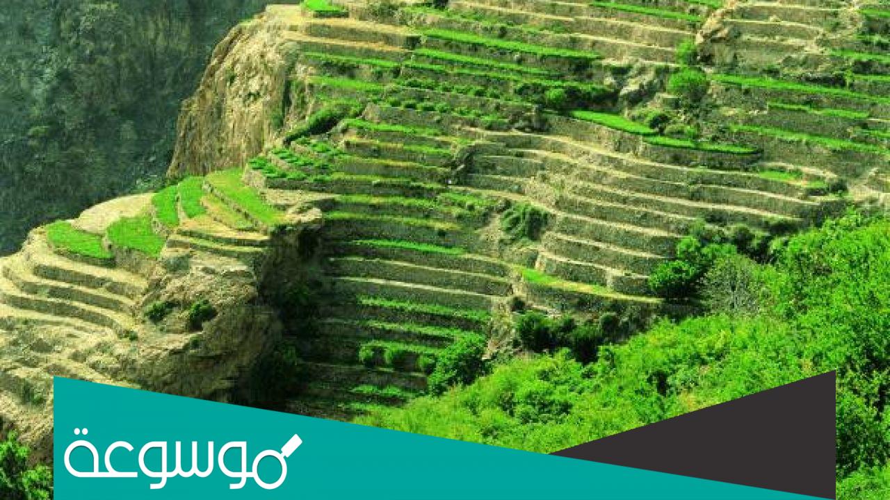 اين يوجد الجبل الاخضر