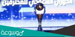 تفاصيل زيادة عدد أندية الدوري السعودي