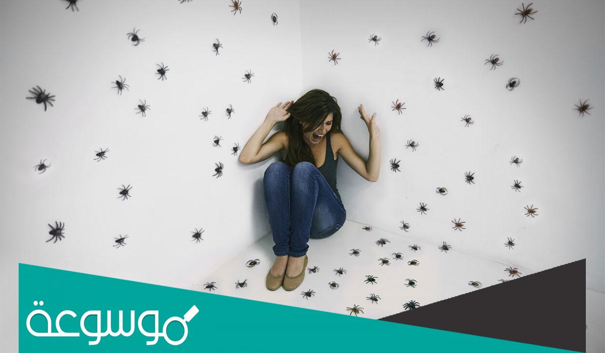 تفسير حلم الحشرات على السرير في المنام