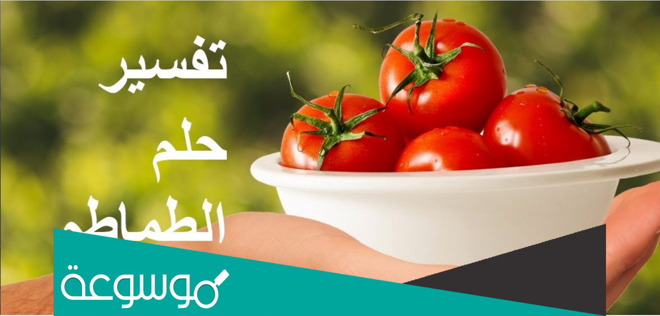 تفسير حلم الطماطم لابن سيرين للعزباء والمتزوجة والمطلقة