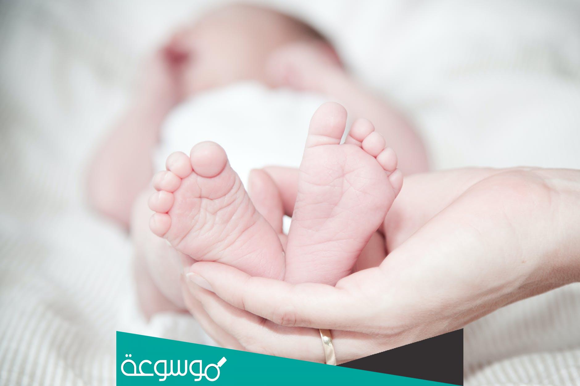 تفسير حلم الولادة للعزباء والمتزوجة والمطلقة والرجل