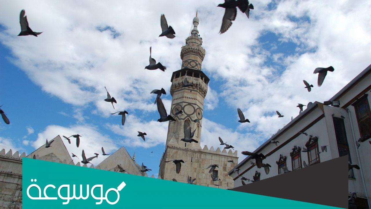 حكم صيام ايام التشريق لغير الحاج