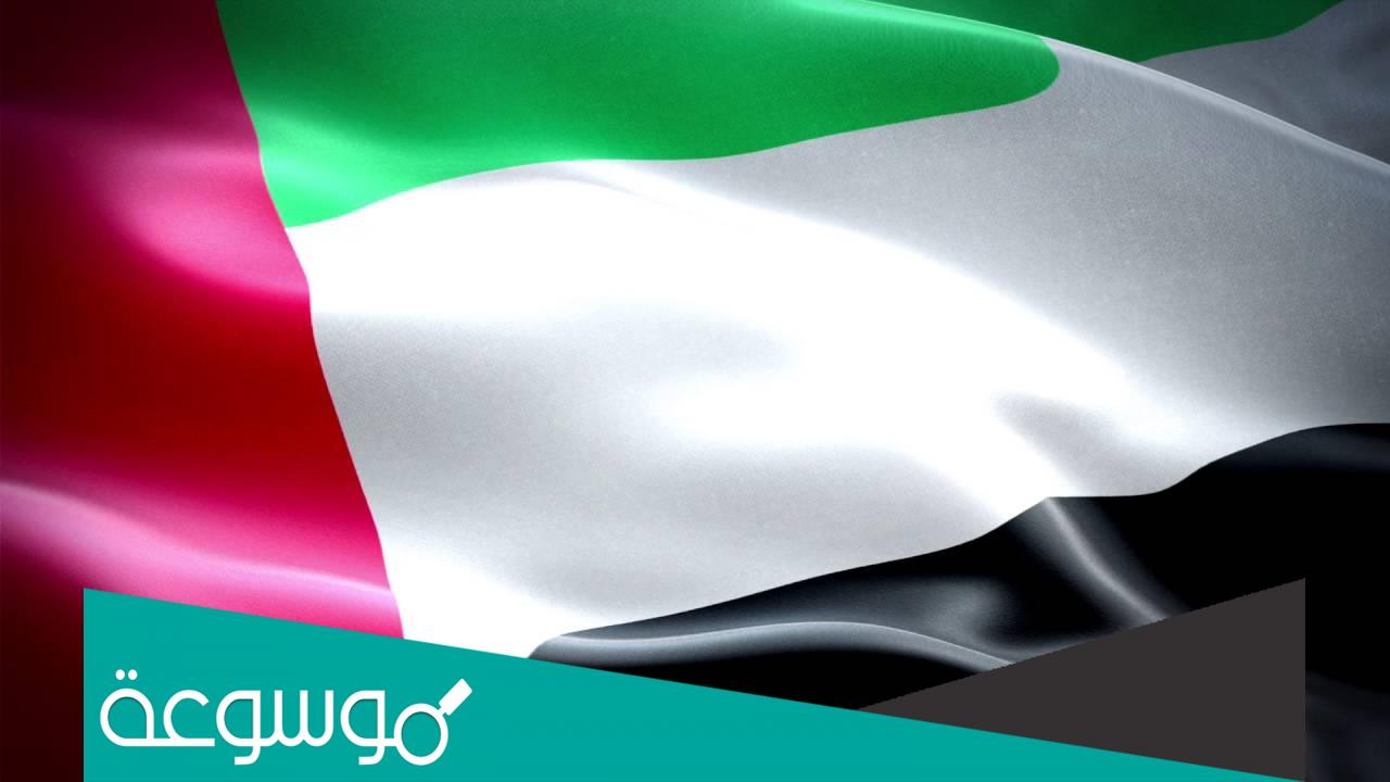 رقم الإفتاء 24 ساعة الإمارات 2022