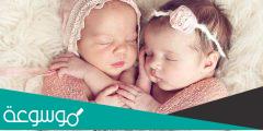 طريقة الحمل بتوأم مجربة