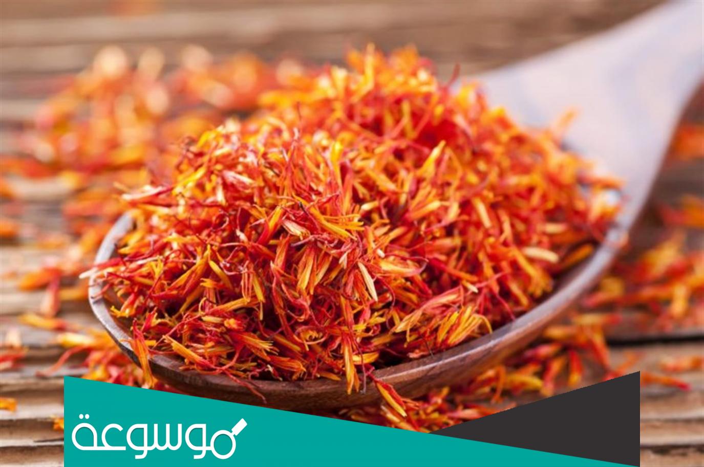 فوائد العصفر جابر القحطاني وطريقة استخدامه وقيمته الغذائية