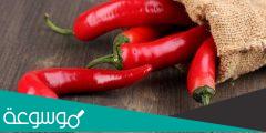 فوائد عشبة الفلفل الحار وأضراره وأهم المعلومات عنه