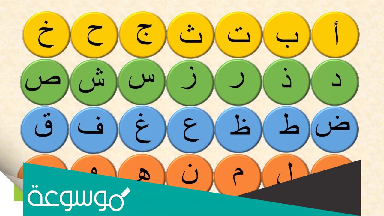 كم عدد حروف اللغة العربية