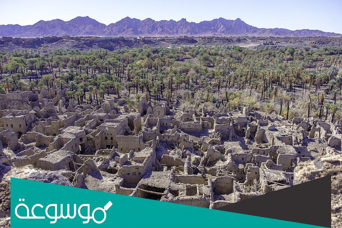 كم عدد حصون خيبر