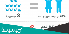 كم يحتاج الجسم من الماء يوميا