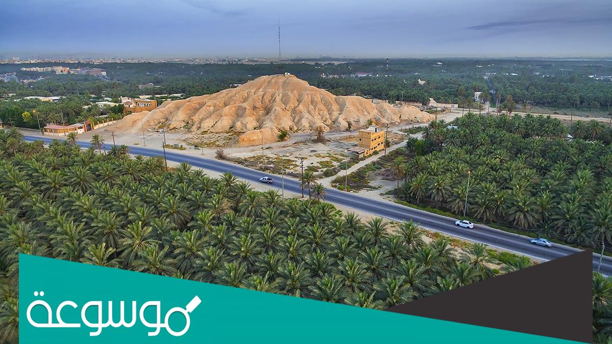 ما اسم اكبر واحه داخل المملكه