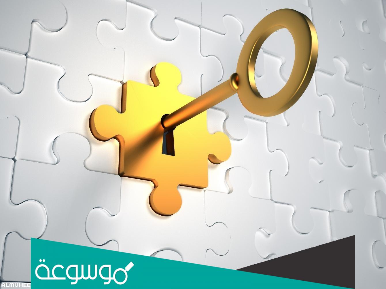 ماهو العضوان اللذان يستمران بالنمو طوال حياه الانسان