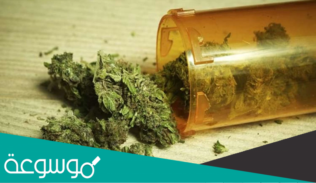 ما هو الاستروكس