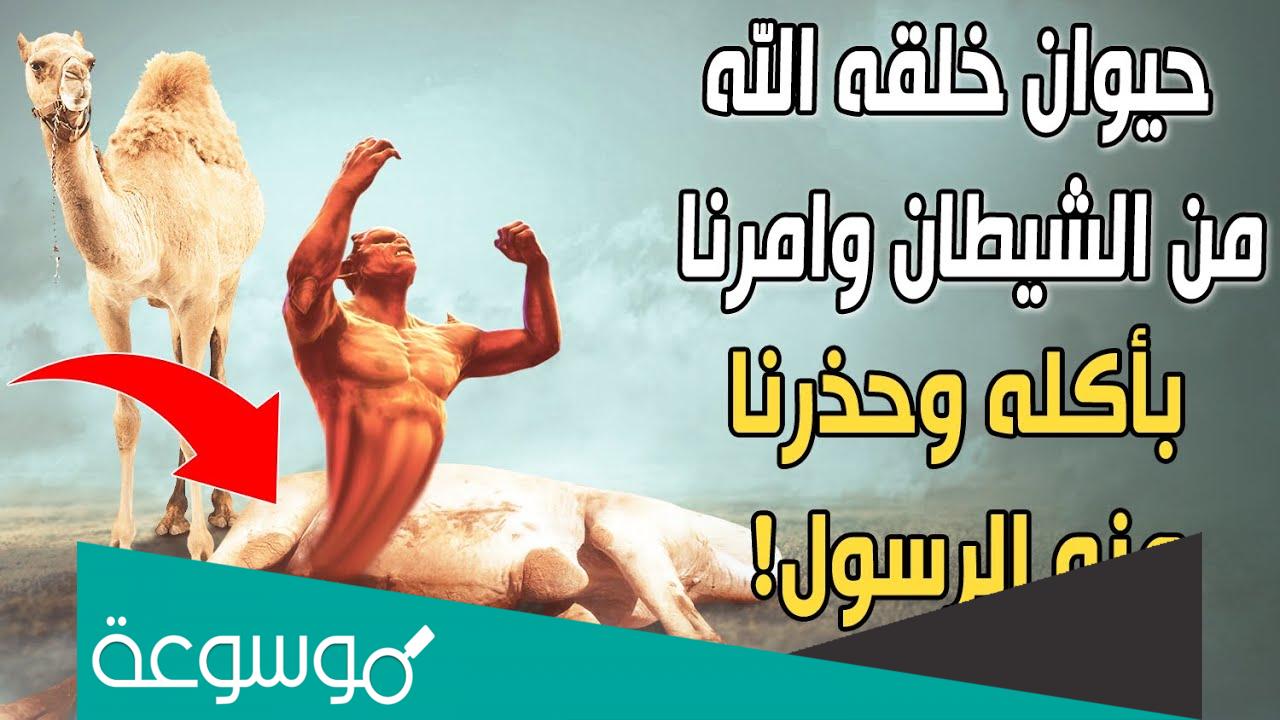 ما هو الحيوان المخلوق من النار