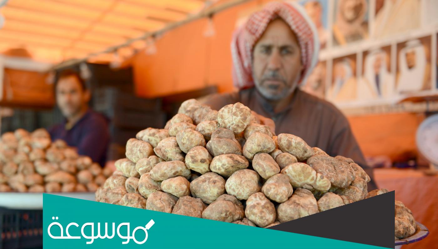 ما هو الفقع في السعودية
