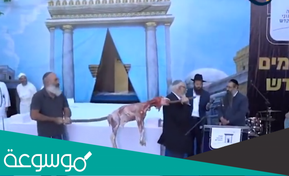 ما هو ذبح القرابين عند اليهود وماذا يعني