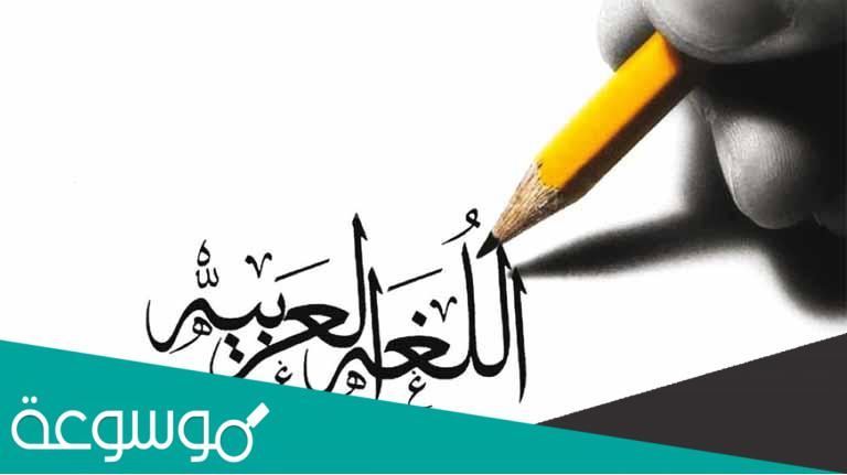 ما هي اطول كلمة في اللغة العربية
