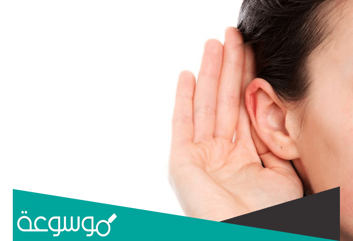 ما هي الحاسة الوحيدة التي لا تنام ؟