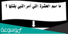 ما هي الحشرة الوحيدة التي أمر الرسول صلى الله عليه وسلم بقتلها؟