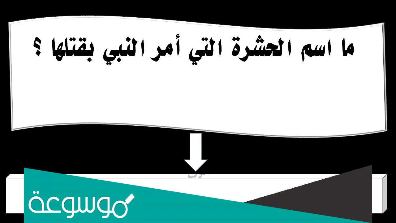 ما هي الحشرة الوحيدة التي أمر الرسول صلى الله عليه وسلم بقتلها؟