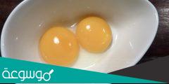 ماهو الاسم الذي يطلق على صفار البيض