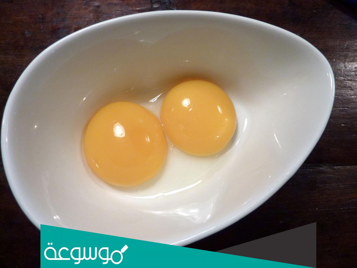 ماهو الاسم الذي يطلق على صفار البيض