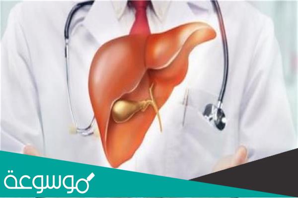 متى بدأت عملية زراعة الكبد ؟