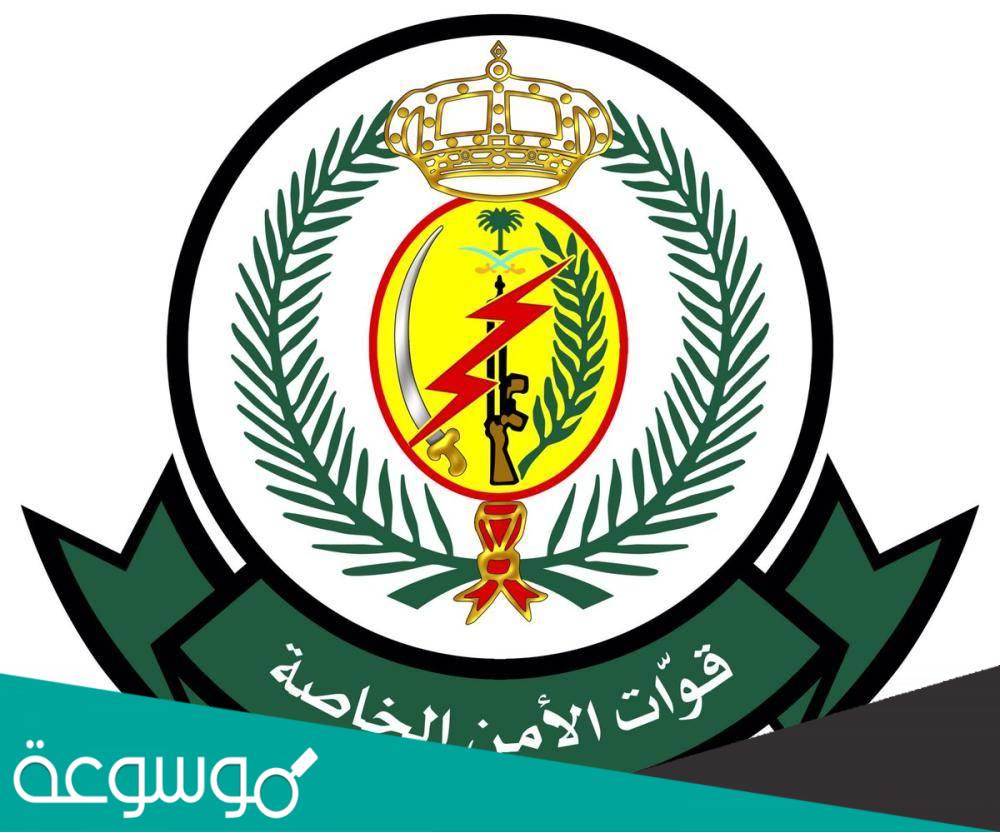 معلومات عن امن وحماية القوات المسلحة ورواتب الملتحقين بها