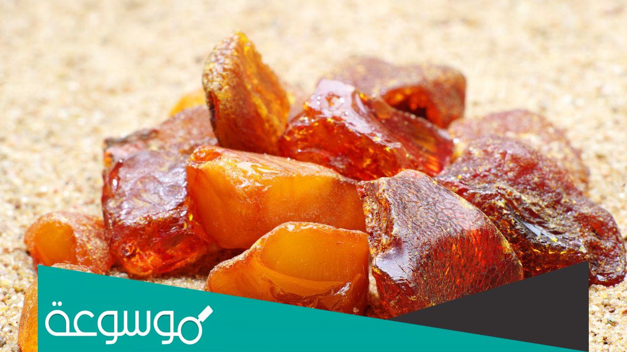 من اين يستخرج العنبر