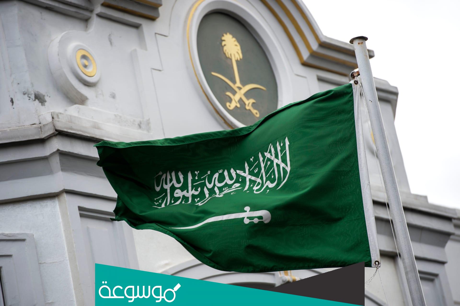 من هو حسان يوسف ياسين ويكيبيديا