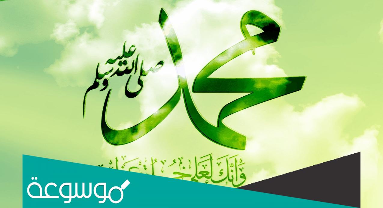 من هو مترجم رسول الله صلَّى الله عليه وسلَّم؟