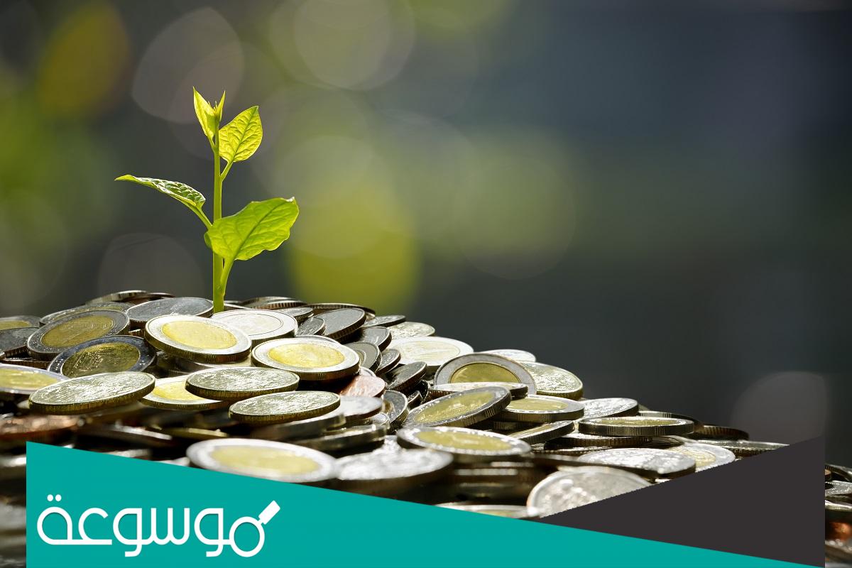 هل يجوز اخراج زكاة الفطر من زكاة الفطر