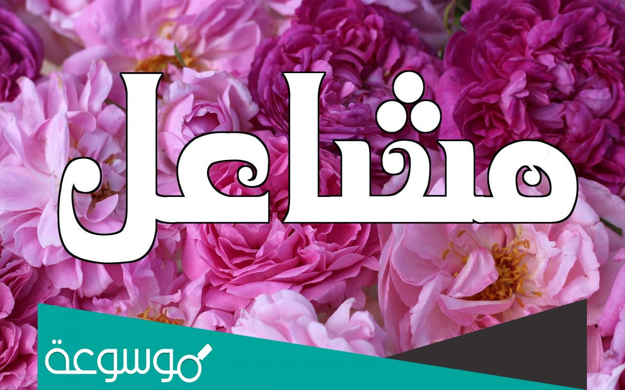 معنى اسم مشاعل وصفات حاملته وحكم تسميته في الإسلام