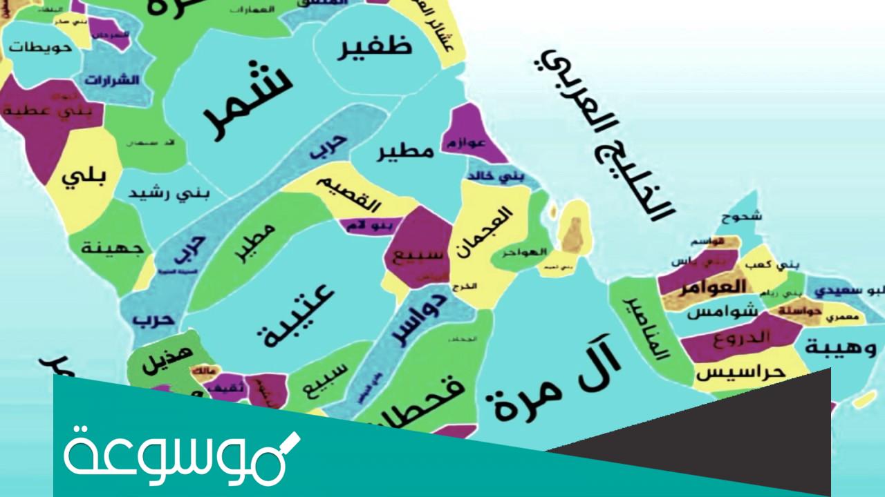 تعداد القبائل في السعودية 2022 .. قائمة أشهر وأكبر القبائل