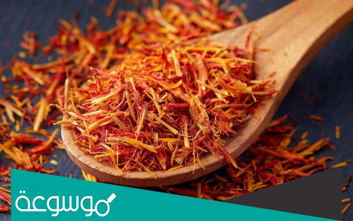 فوائد العصفر جابر القحطاني وقيمته الغذائية ومحاذير استخدامه