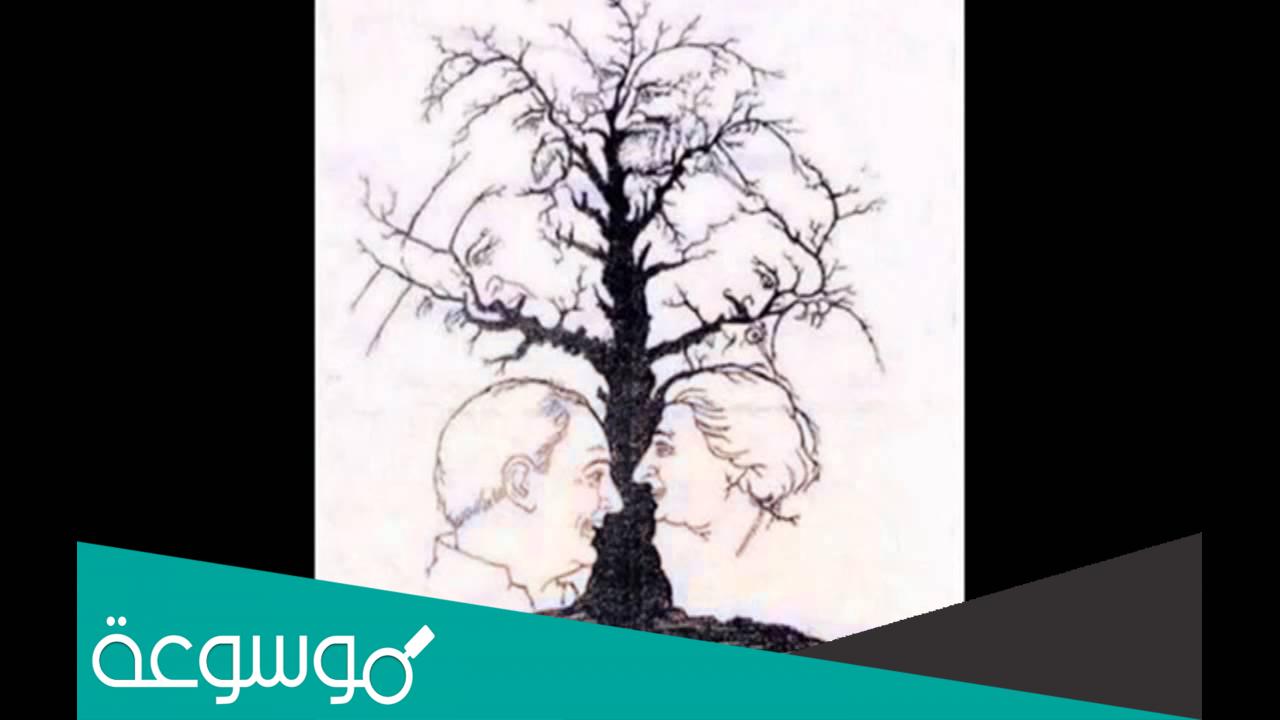 حل لغز ياباني كم شخص في الصورة
