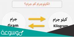 الكيلو كم جرام .. كم يساوي الكيلو جرام بالجرام