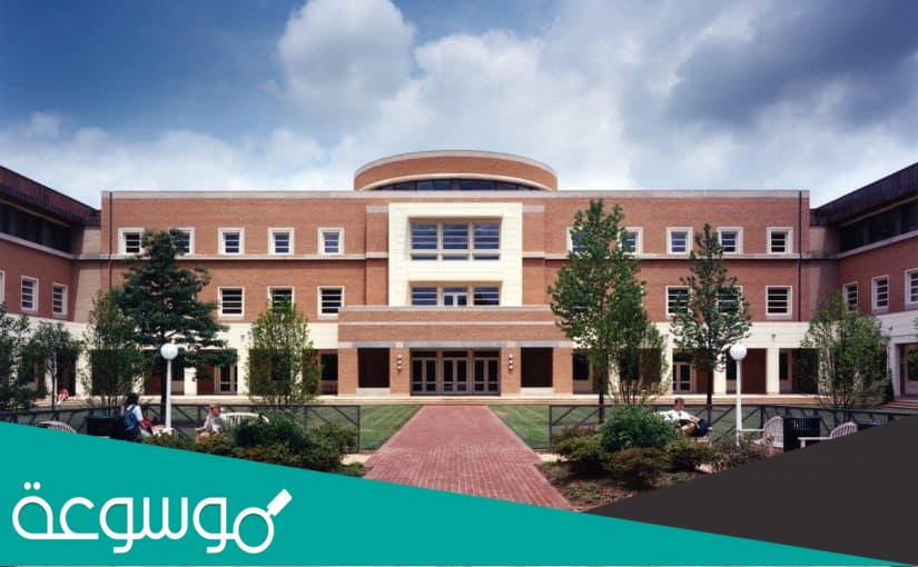 افضل مدارس اهليه في جده بنات