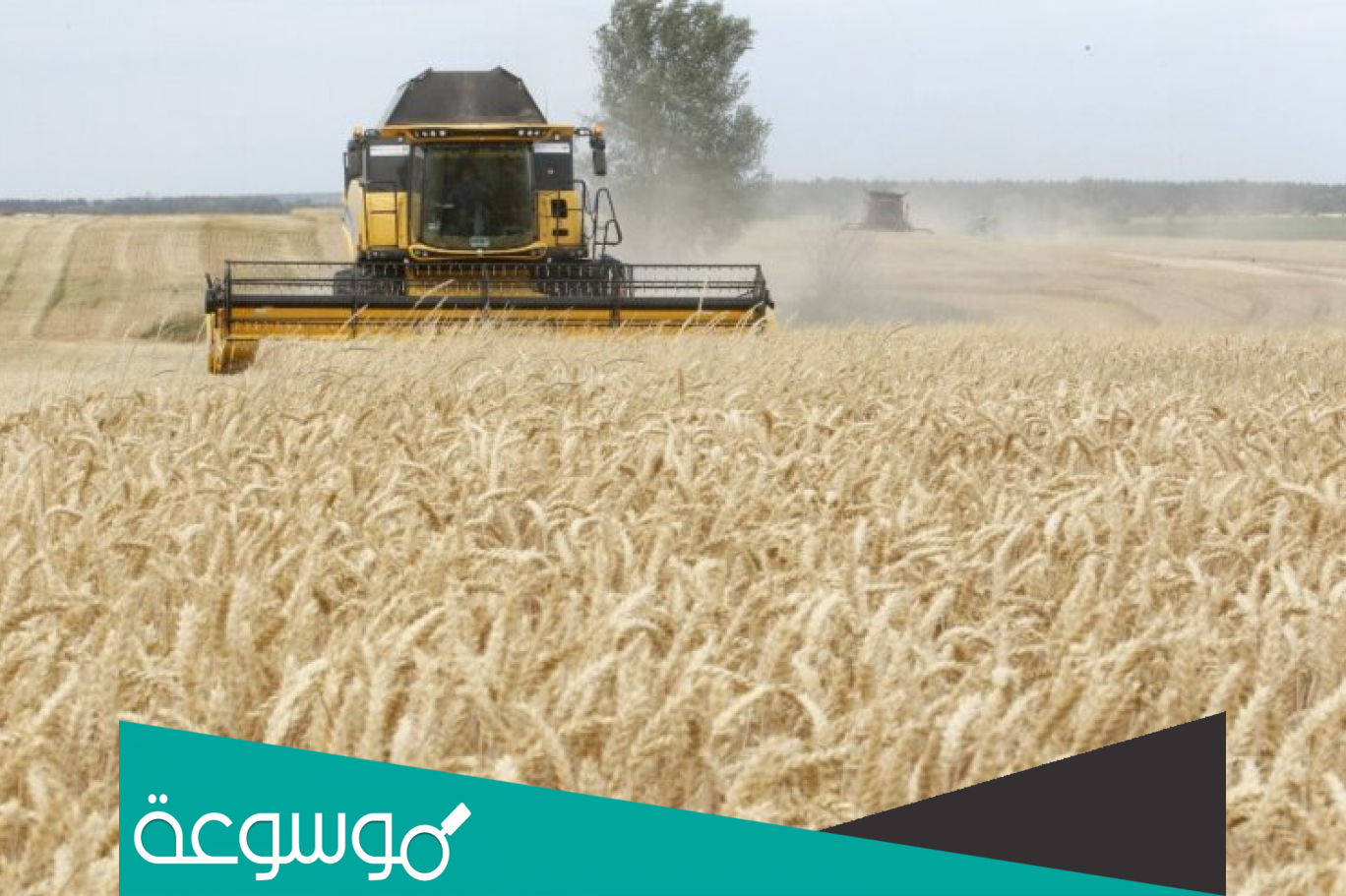 اكبر مصدري القمح في العالم 2022