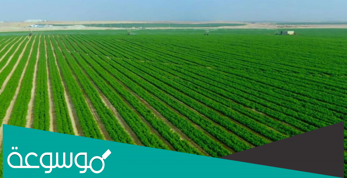 التقديم في مشروع مستقبل مصر