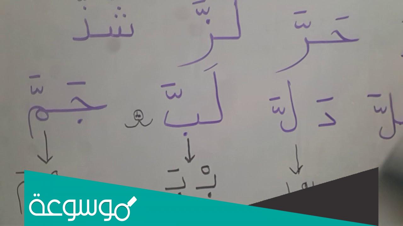 الحرف المشدد عبارة عن حرفين .. هل الشدة حركة أم حرف