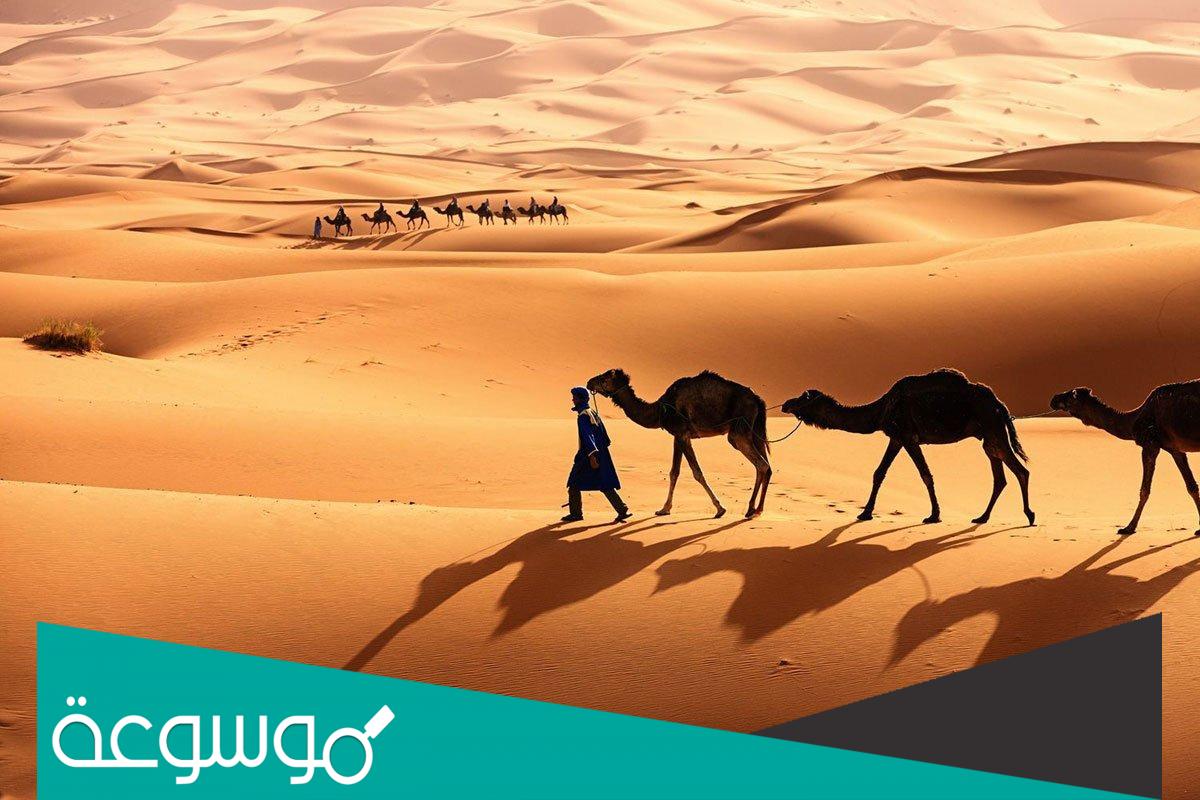 الحلافي وش يرجعون اصل قبيلة الحلافي