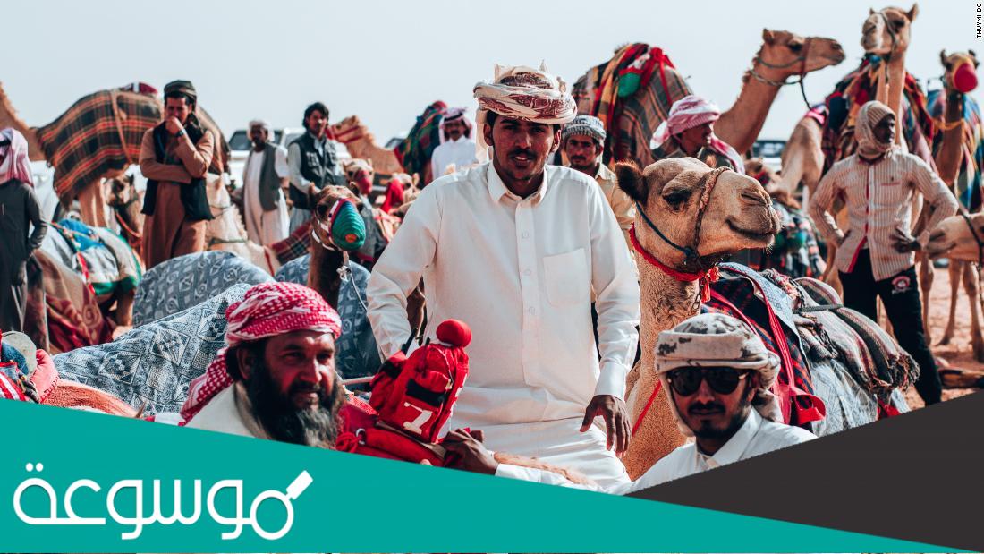 الطامي من أي قبيلة