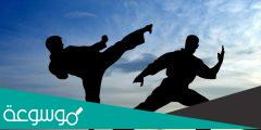 الفرق بين الكاراتيه والكونغ فو والتايكوندو والجودو