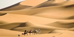الهويمل وش يرجعون .. اصل قبيلة الهويمل من وين