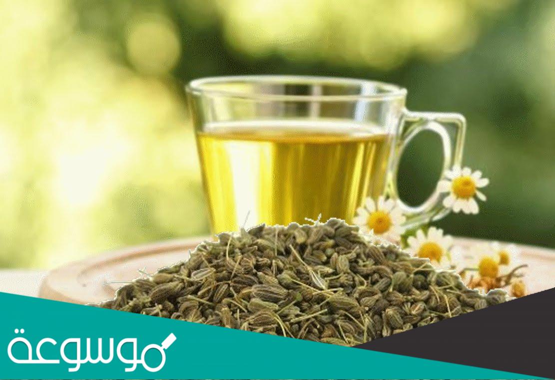 اليانسون للرضع .. أضرار خطيرة