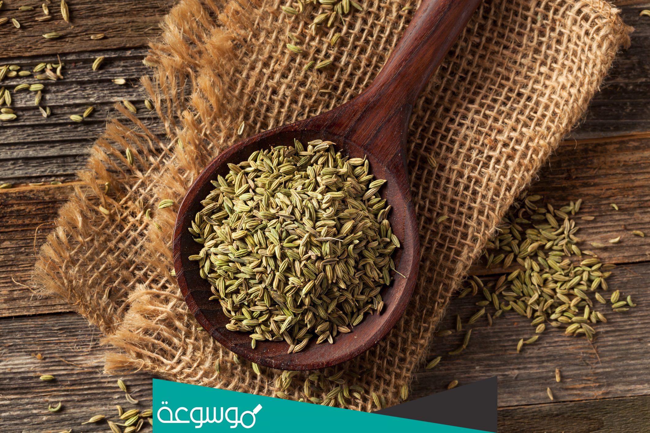 اليانسون يضر الحامل وما فوائده وأضراره