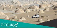 اين توجد محمية الصحراء البيضاء
