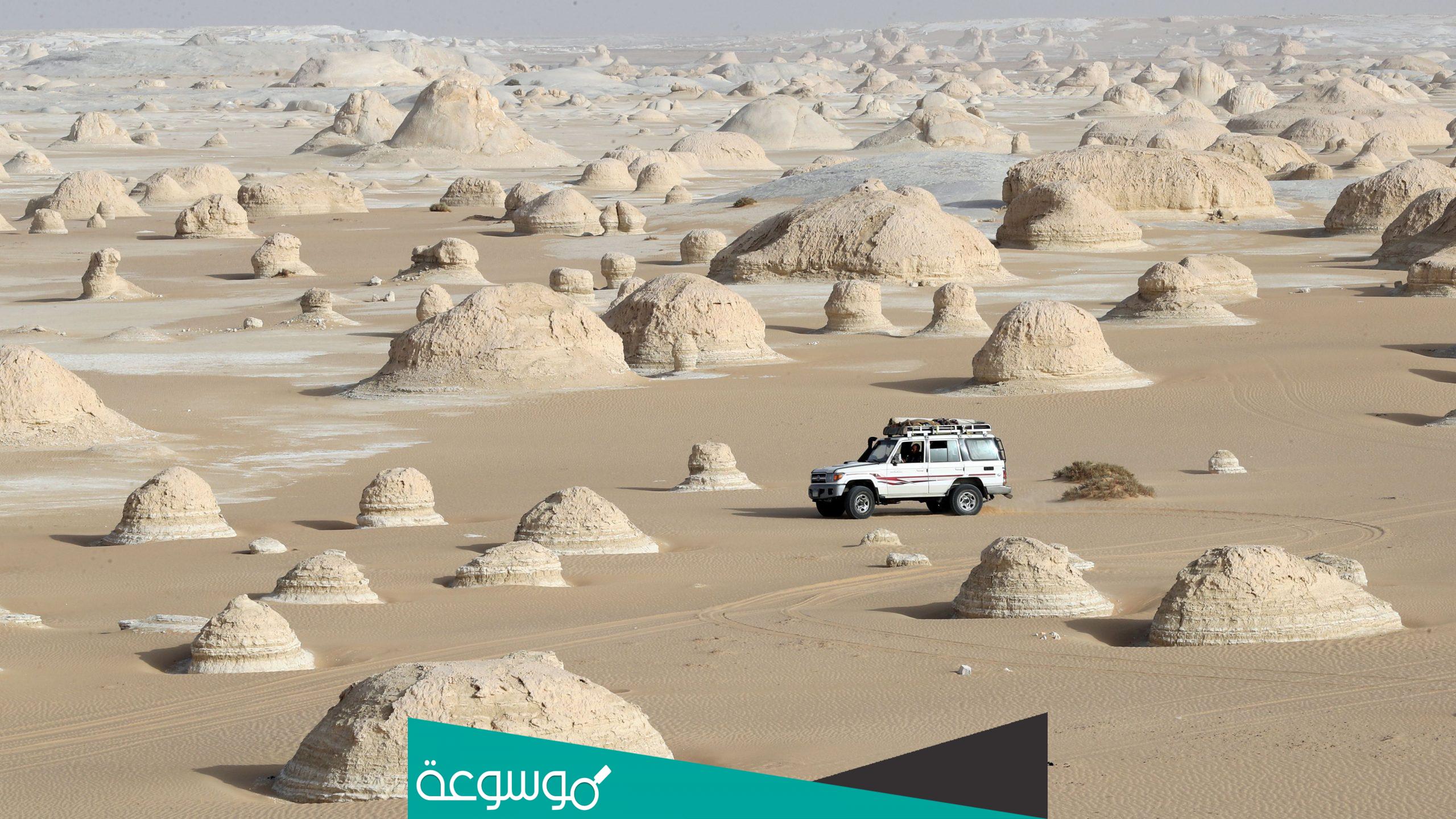 اين توجد محمية الصحراء البيضاء