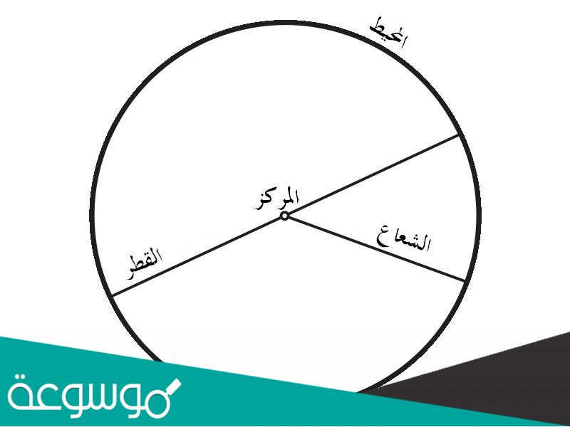 بحث عن الدائره في الرياضيات